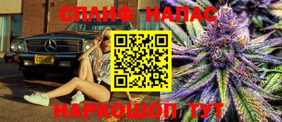 ПСИЛОЦИБИНОВЫЕ ГРИБЫ Заводоуковск