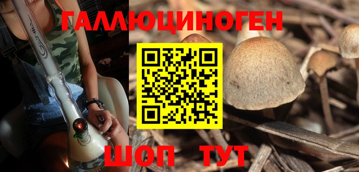 Псилоцибиновые грибы мухоморы Мелеуз