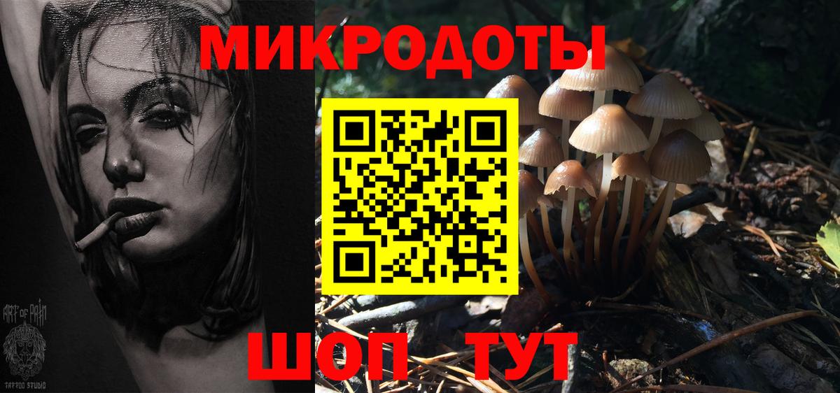 Мелеуз  Псилоцибиновые грибы прущие грибы  Псилоцибиновые грибы Psilocybine cubensis  Вход с VPN 
